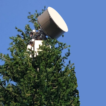 35m Monopine Cell Tower