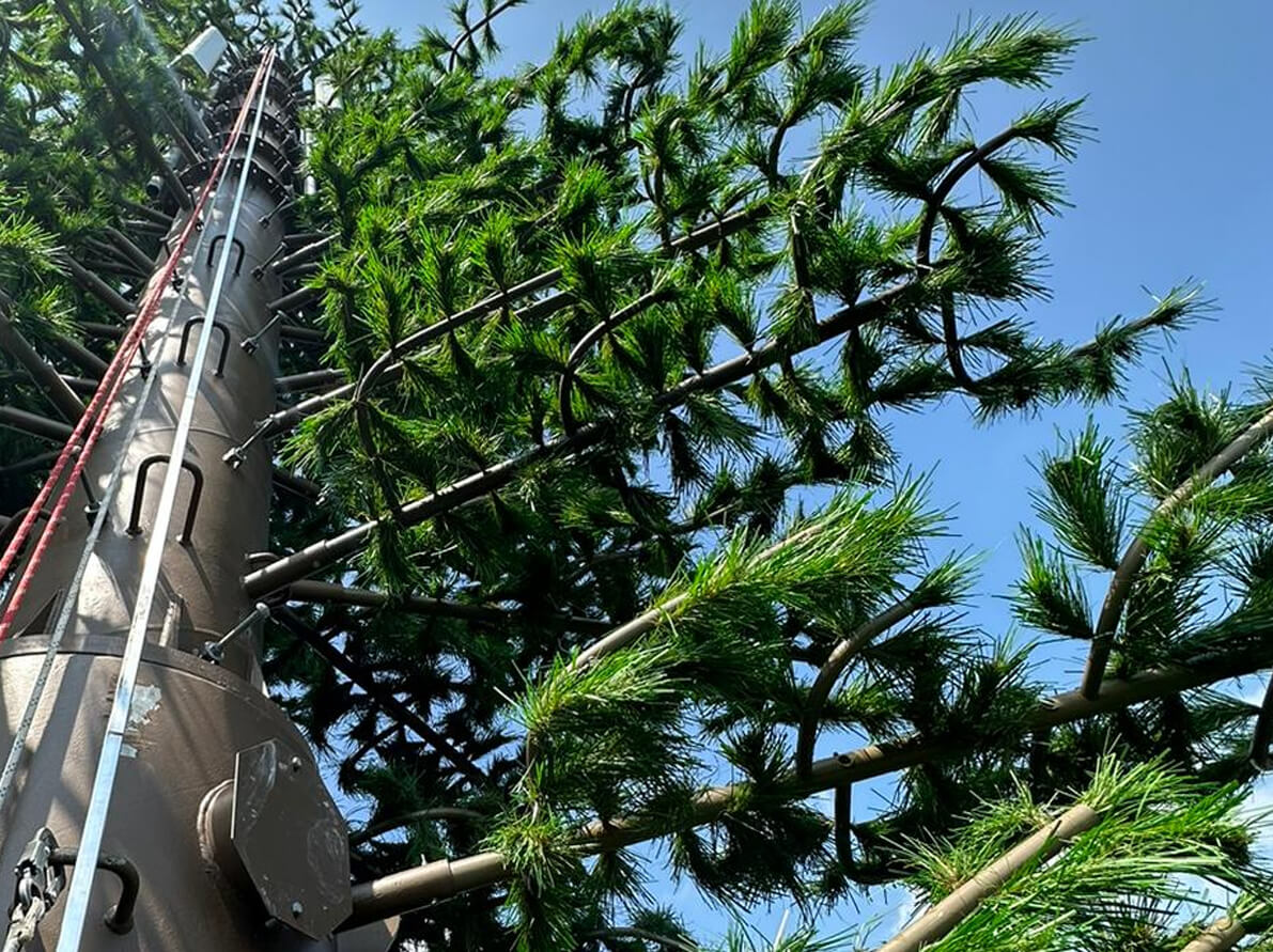 35m Monopine Cell Tower
