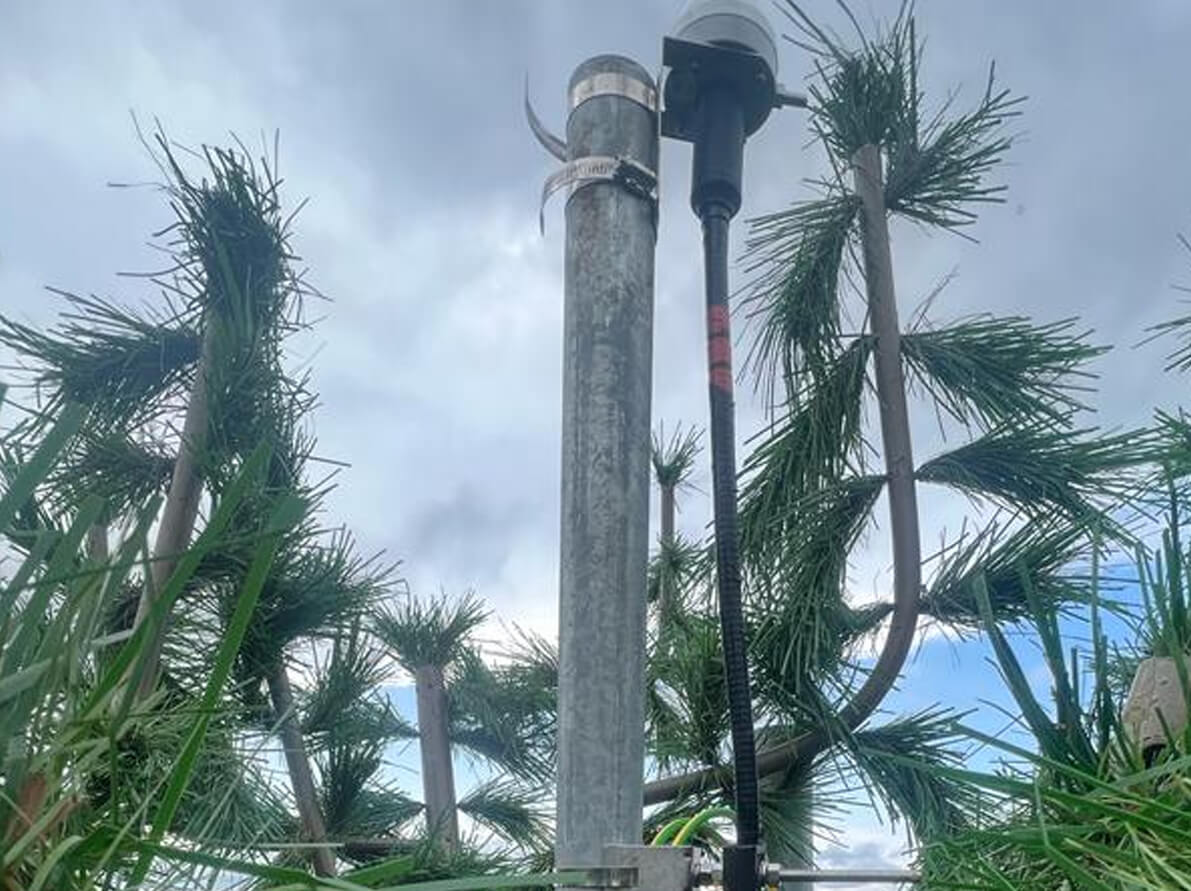 35m Monopine Cell Tower