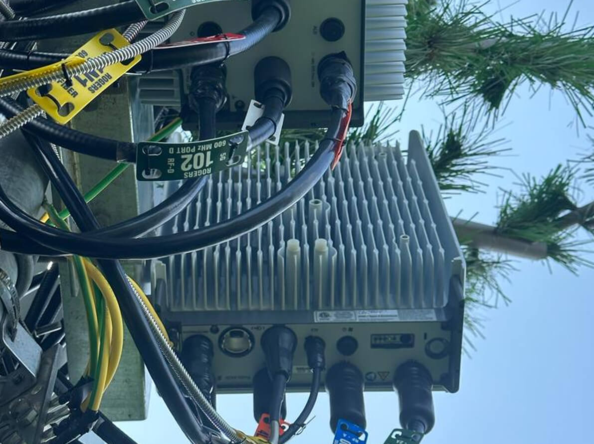 35m Monopine Cell Tower