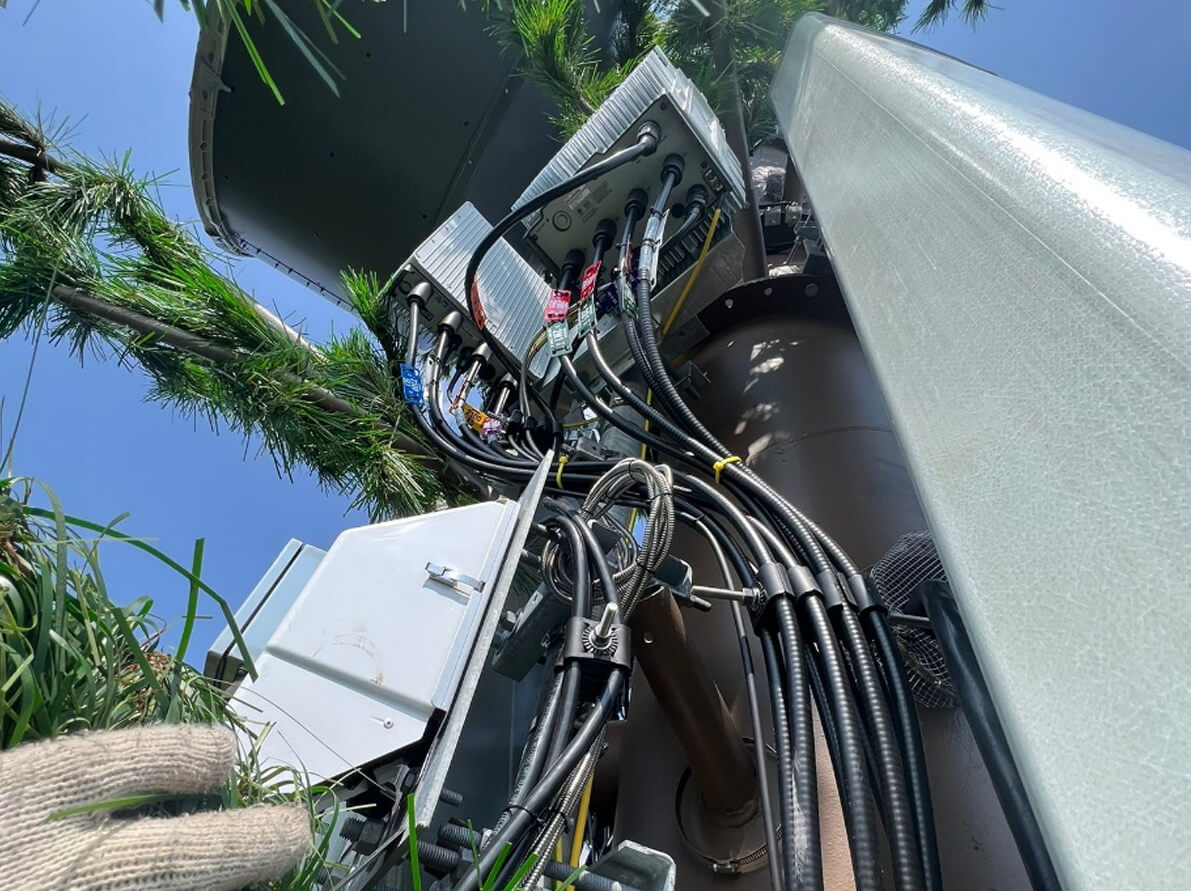 35m Monopine Cell Tower